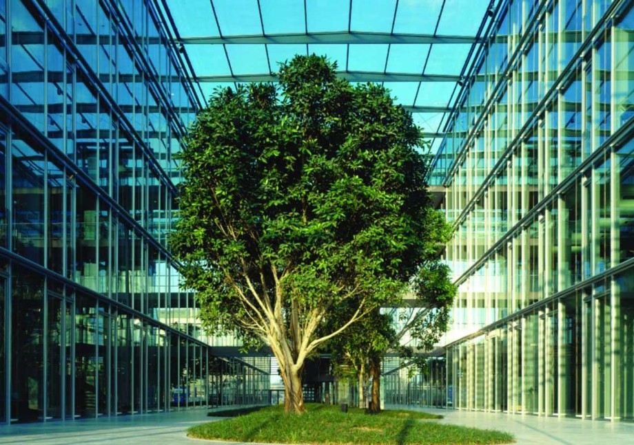 Athrium mit Baum bei den Stadtwerken Düsseldorf