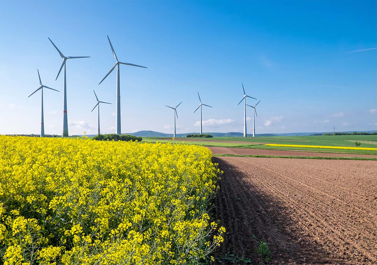 Windräder als Beispiel für Erneurbare Energien