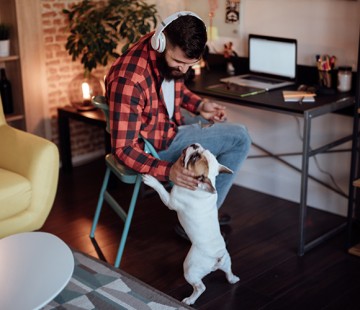 Mann arbeitet am PC und streichelt einen Hund