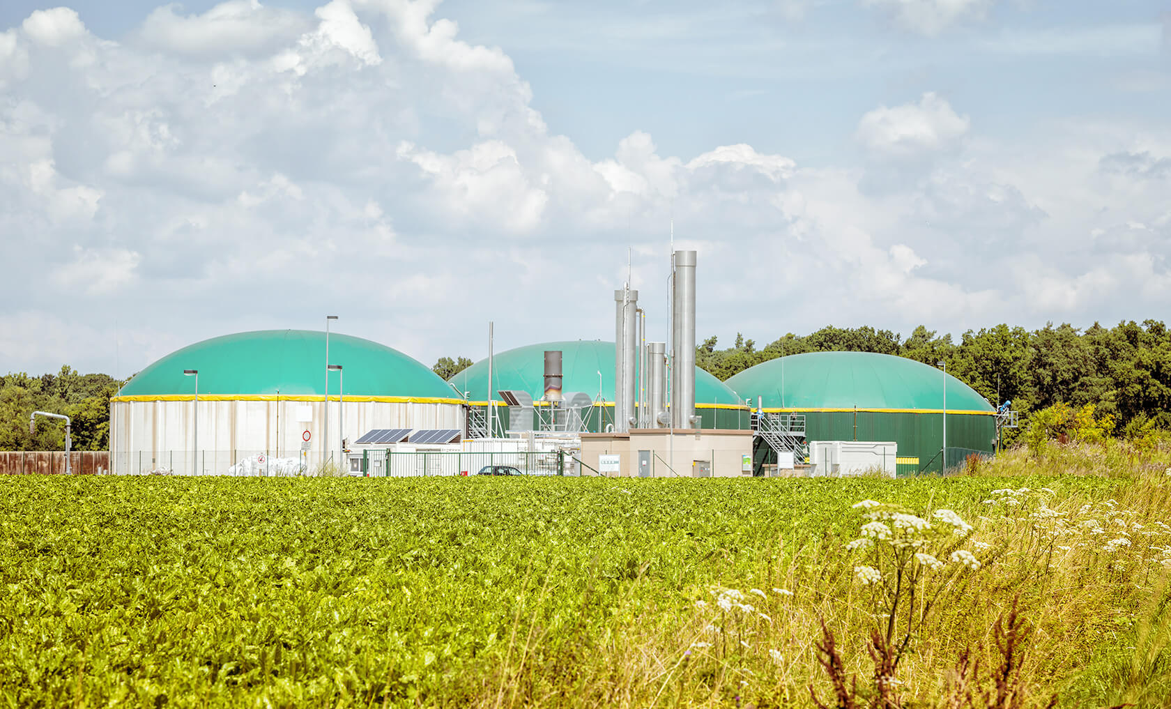 Eine grüne Wiese mit Biogas Kraftwerk.