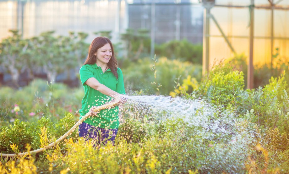 Wasser für Geschäftskunden: Eine Gärtnerin gießt ihre Blumen