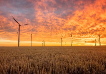 Strom: Windmühlen auf einer Wiese bei Sonnenuntergang
