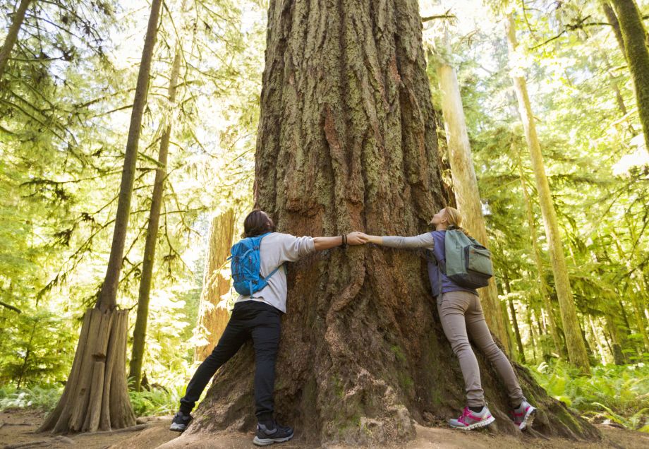 Ein Pärchen umarmt einen riesigen Baumstamm im Wald. © Compassionate Eye Foundation/Steven / DigitalVision via Getty Images