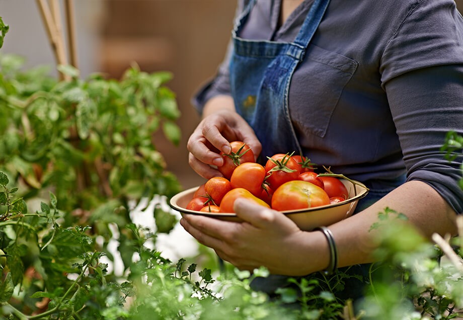 In unserer Region gibt es spezielle Höfe, die vom Anbau bis zum Verkauf keine Lebensmittel verschwenden. Wer hier beispielsweise seine Tomaten kauft, isst besonders nachhaltig. 