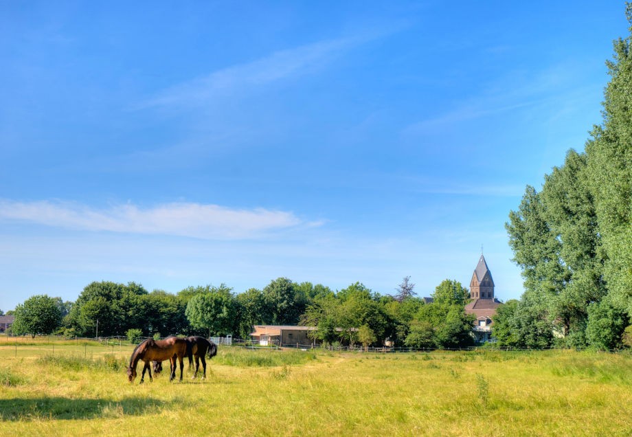Pferdekoppel mit der Angermunder Kirche St. Agnes im Hintergrund
