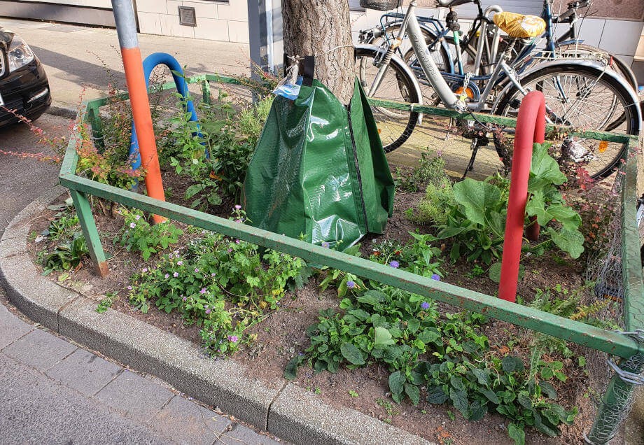 Baumpatenschaft: Baum mit Bewässerungssack