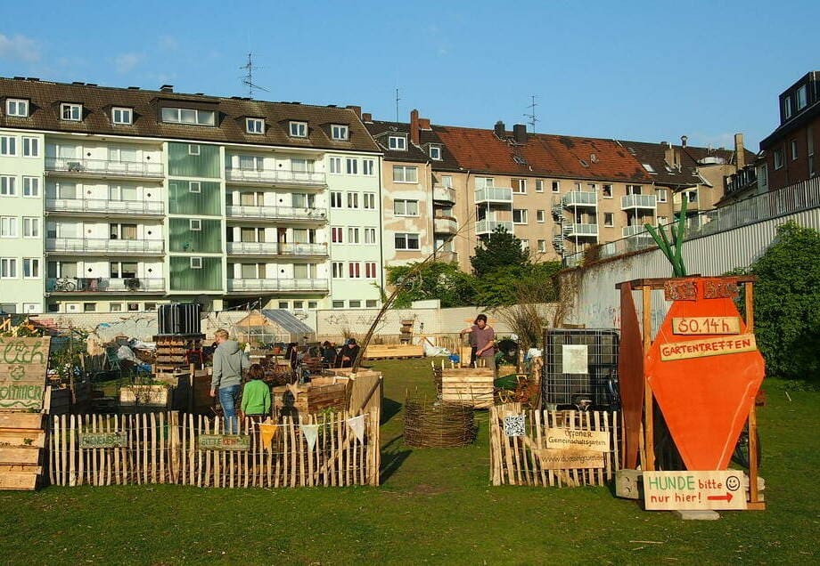 Der Gemeinschaftsgarten von düsselgrün mitten in Düsseldorf