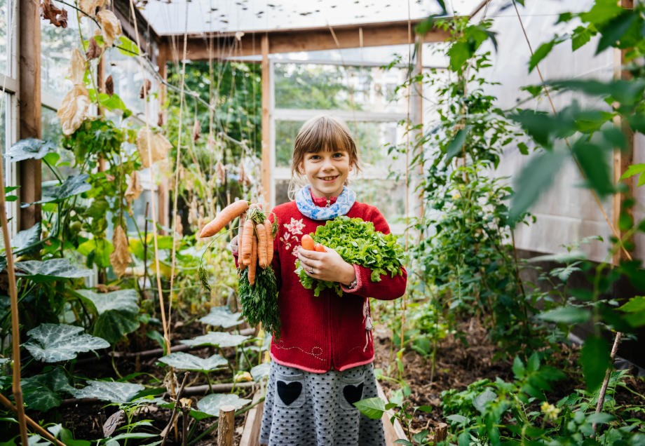 Ein Mädchen steht in einem Gewächshaus und hält frisches Gemüse in den Händen. 