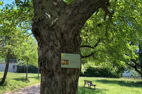 Phänologischer Garten Bildergalerie