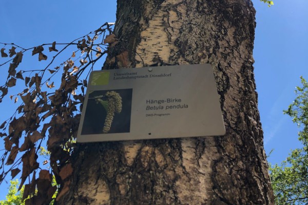 Phänologischer Garten Bildergalerie