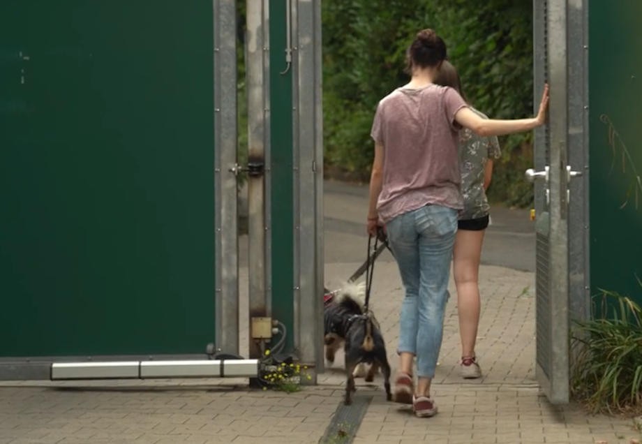 Tierheim Düsseldorf: ehrenamtliche Gassigeher:innen verlassen das Gelände mit Hunden