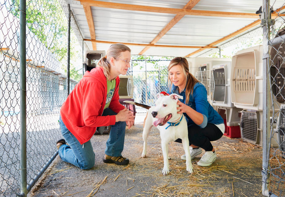 Zwei Frauen mit einem Hund