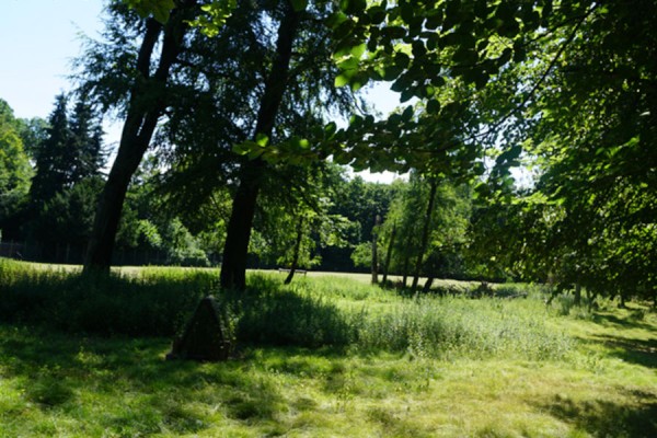 Blick in den Wildpark Grafenberg. © Gartenamt Stadt Düsseldorf