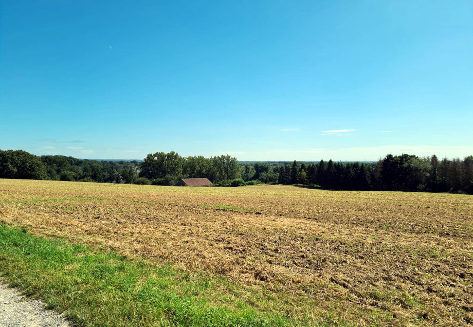 Schöner Ausblick in die Natur beim Wandern rund um Düsseldorf