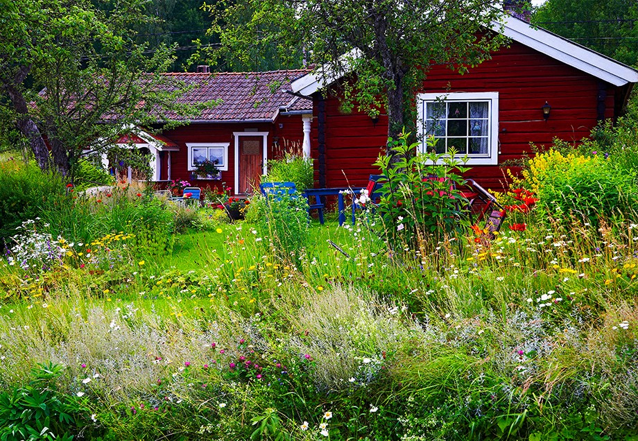 Naturnaher Garten mit hohen Gräsern und vielen bunten Blumen vor einem Holzhaus im Schwedenhauslook.