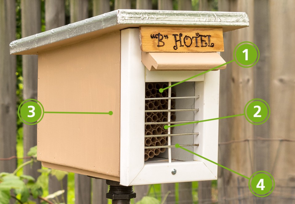 Bienenhaltung gegen Bienensterben | Stadtwerke Düsseldorf
