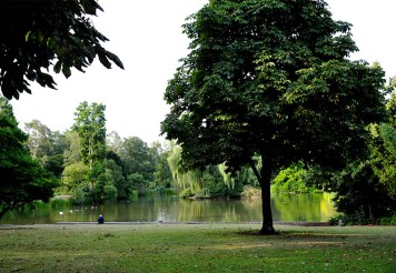 Der Düsseldorfer Zoopark hat auch einen See, der auch bei Enten sehr beliebt ist. 