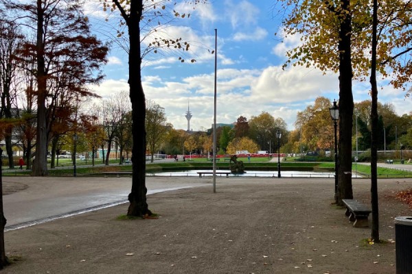 Der Hofgarten in Düsseldorf Pempelfort mit Rheintum im Hintergrund © Stadtwerke Düsseldorf