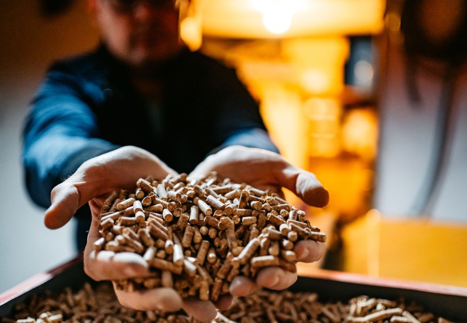 Biomasse: Ein Mann hält Holzpellets in den Händen.