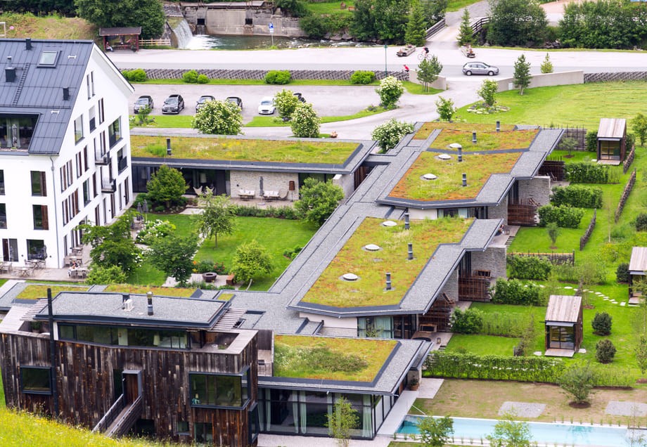 Dachbegrünung: Ein städtischer Garten im Aufbau