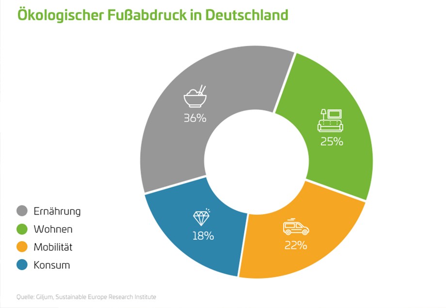 Ernährung, Wohnen, Mobilität und Konsum – eine Grafik zeigt deren Anteile am durchschnittlichen Fußabdruck in Deutschland.