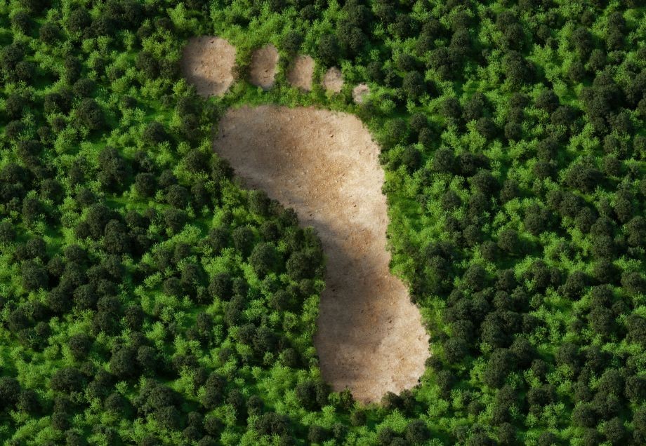 Ein Wald aus Vogelperspektive, der symbolisch in Form eines Fußabdrucks abgeholzt wurde.