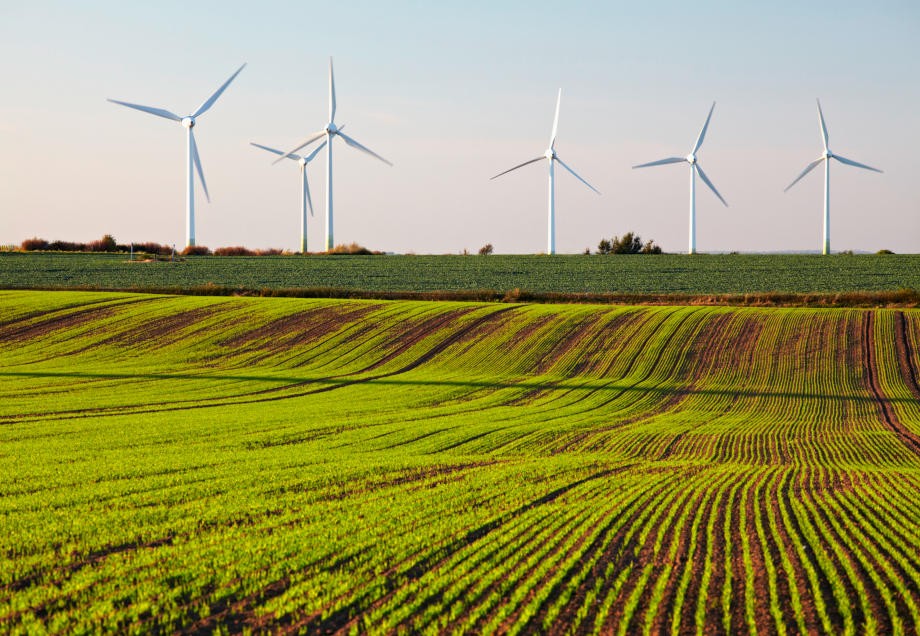 Eine Reihe Windkrafträder steht auf grünen Feldern. 