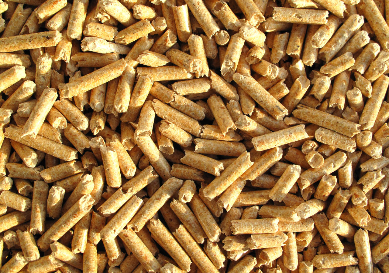 Nahaufnahme von Pellets, die als Brennstoff für Pelletheizungen genutzt werden. © fotolinchen / E+ via Getty Images