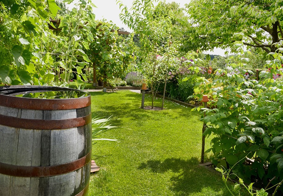 Regentonnen gibt es nicht nur aus grünem Kunststoff. Wer das Sammelgefäß nicht als Störfaktor in seinem Garten haben will, der sollte sich eine Version suchen, die optisch gut zur Stimmung passt.
