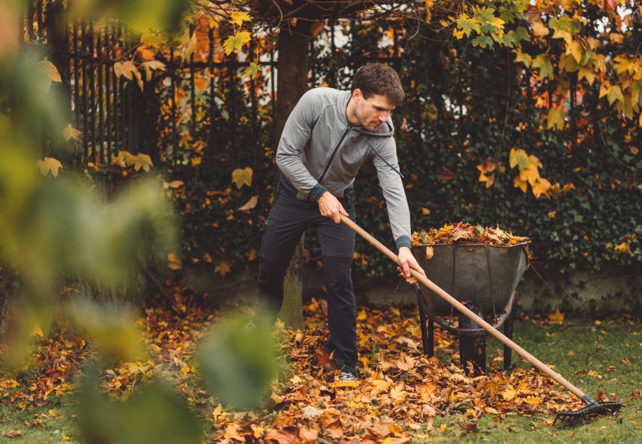 Unnötige Elektrogeräte: Ein Mann fegt Herbstlaub im Garten mit einer Harke.