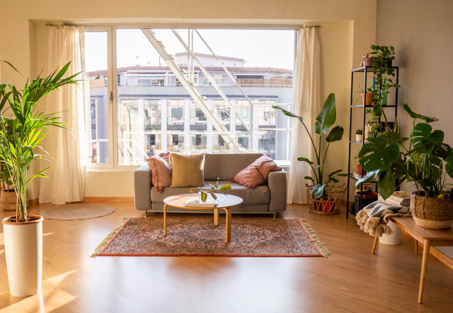 Kühles Wohnzimmer mit Pflanzen und hellen Vorhängen.