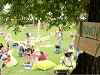 Parklife